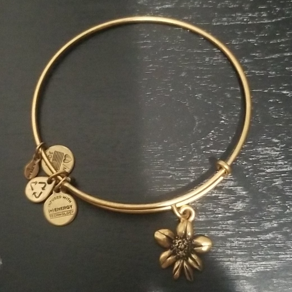 ALEX AND ANI BRACELET